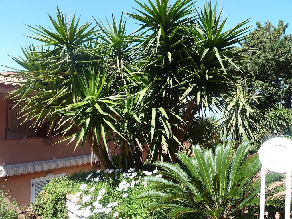 B&B Villa Di Giorgi Cefalù Εξωτερικό φωτογραφία